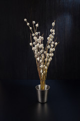 A bouquet of fluffy willow branches (Salix gracilistyla) in the metal-bucket cup