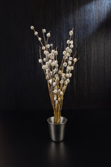 A bouquet of fluffy willow branches (Salix gracilistyla) in the metal-bucket cup