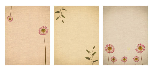 Set of various Old vintage paper texture with dry plants and flower isolated