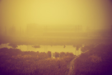fog over the swamp. marshland. fog over the water.