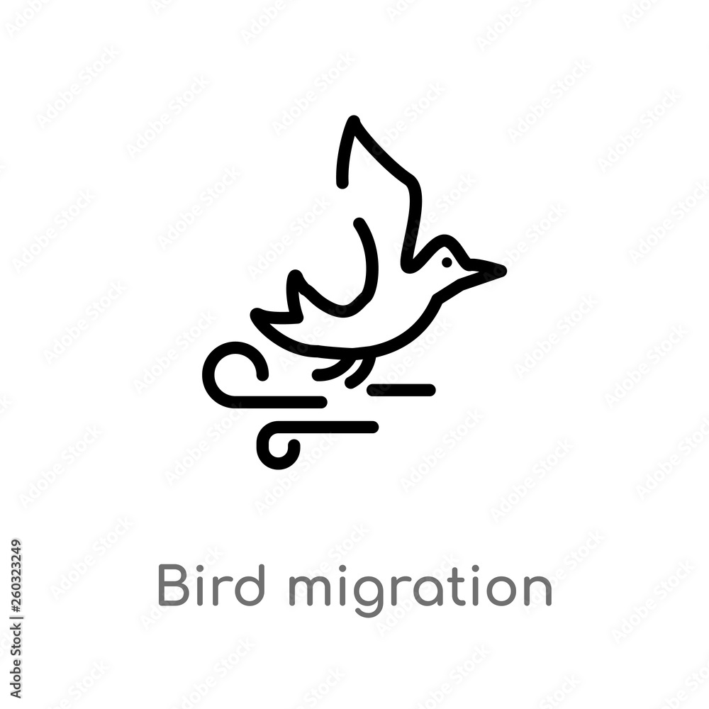 Poster outline bird migration vector icon. isolated black simple line element illustration from autumn conc