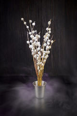 A bouquet of fluffy willow branches (Salix gracilistyla) in the metal-bucket cup in smoke haze