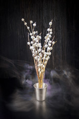 A bouquet of fluffy willow branches (Salix gracilistyla) in the metal-bucket cup in smoke haze