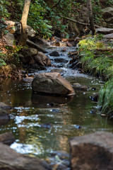Small waterfall or cascade captured near the water surface full of rocks and plants