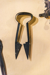 Scissors for shearing animals on a yellow background