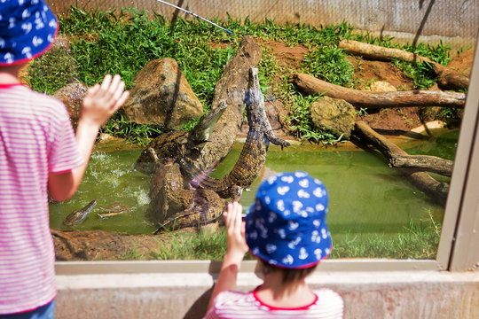 Little boys at exotic zoo, watching and observing crocodiles