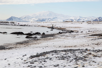Ytri tunga seal reserve in Iceland