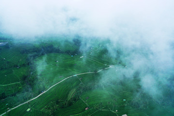 Aerial view of road in Jatiluwih Rice Terraces. Clouds and fog. Bali, Indonesia.