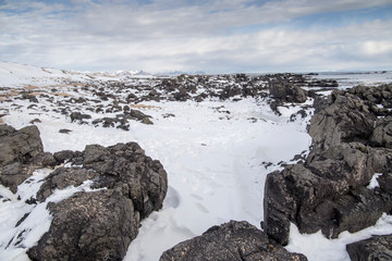 Ytri tunga seal reserve in Iceland