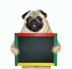 The dog teacher is holding the small blank blackboard. Isolated. White background.