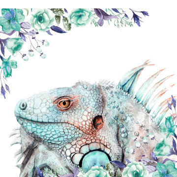 watercolor drawing of animal - iguana with flowers