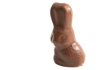 chocolate bunny isolated