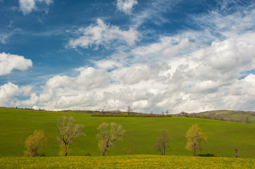 Fototapeta na wymiar tipico paesaggio italiano, raffigurante distese verdi e cieli azzurri movimentati da nuvole bianche