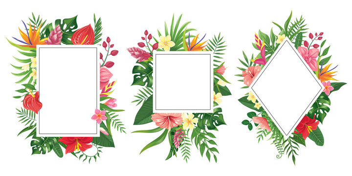 Tropical flower frames. Botanical tropics borders, tropic flowers invitation frame and summer plants green leaves vector background