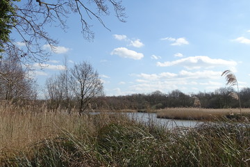 Upton Broad on the Norfolk Broads, UK
