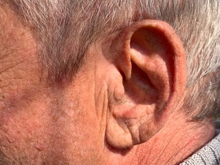 The structure of the old man's auricle. Wrinkles on the surface of the skin. Gray hair texture. A...