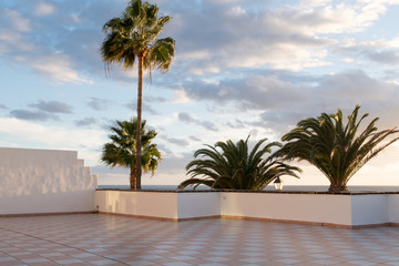 Fototapeta na wymiar Large tiled sunny villa terrace with palm trees, golden sunset light and a slightly clouded sky.
