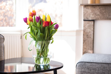 Colorful tulip flowers, various colors on table in the livingroom, April concept