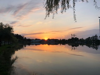 The orange sunset is reflected in the lake. Walk through the green Park. Park with a lake in...