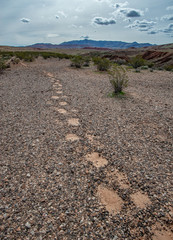 Trail of the Ancients path of footprints over the desert pavement sand foot trail