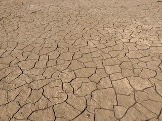 Dry cracked clay surface of the earth. The texture of the dry clay with cracks. Dried soil with...