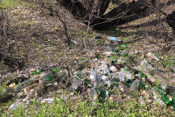 Naklejka na ściany i meble Glass and plastic bottles lying under a tree, garbage