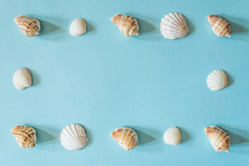 Frame of beautiful different seashells on a blue background. Mollusk seashell texture.