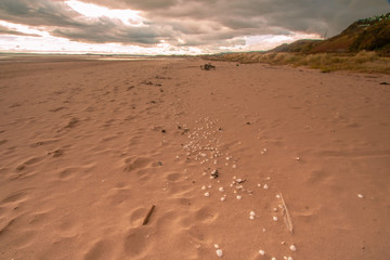 Sandy Beach on Fife Coastal Path, Scotland with Heavy Sky