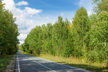 Road through the forest