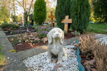 Der Hund ist immer dabei © Blende8