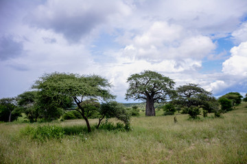 Landscape in Ngorongoro © JoseAntonio
