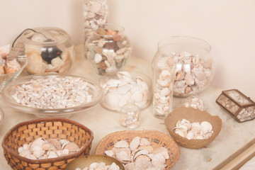 sea shells