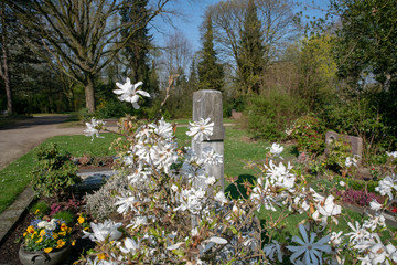 Blick über den Friedhof  © Blende8