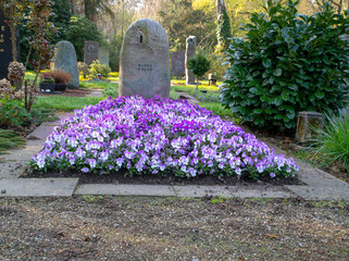 Ein schönes Grab voller Stiefmütterchen