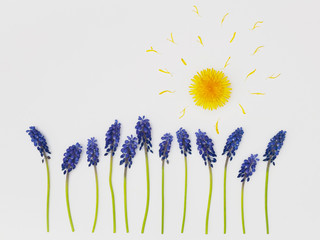 Blumen mit sonne.