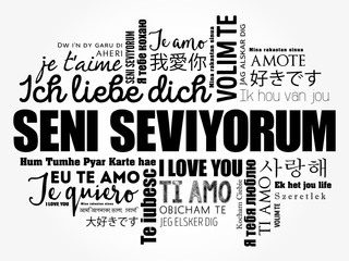 Seni seviyorum (I Love You in Turkish) in different languages of the world