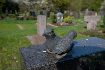 Zwei Vögel auf einem Grabstein  © Blende8