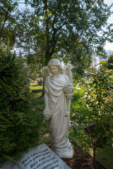 Schöner Engel  © Blende8