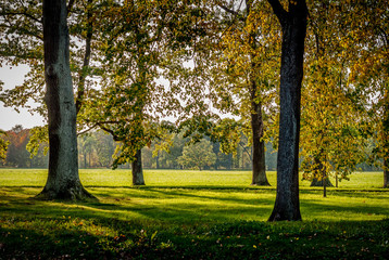 Shady meadow in a city park on a sunny autumn day