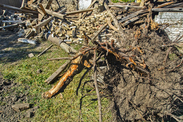 Ruin of the old country house