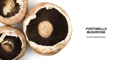 Portobello mushroom, portabella or portobella isolated on white