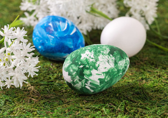 Easter eggs and white flowers on a background of grass