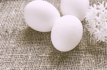 Easter eggs and white flowers on canvas
