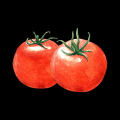 tomato watercolor illustration on black background