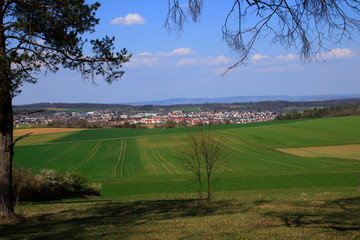 Fototapete bei efototapeten.de bestellen   