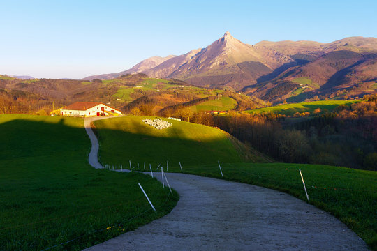 rural landscape of farm with sheep in Lazkaomendi in Gipuzkoa with Txindoki mountain