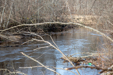 dirty forest river in spring