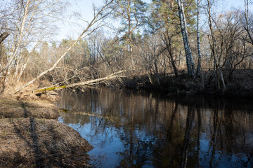 Fototapeta na wymiar dirty forest river in spring