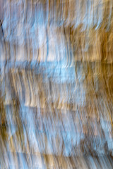 lens motion blur natural in nature background