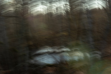 lens motion blur natural in nature background